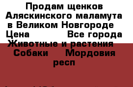 Продам щенков Аляскинского маламута в Великом Новгороде › Цена ­ 5 000 - Все города Животные и растения » Собаки   . Мордовия респ.